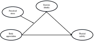 Self-appreciation is not enough: exercise identity mediates body appreciation and physical activity and the role of perceived stress